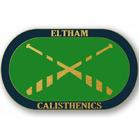Eltham Calisthenic College earrings