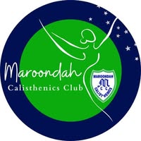 Maroondah Calisthenics Club earrings